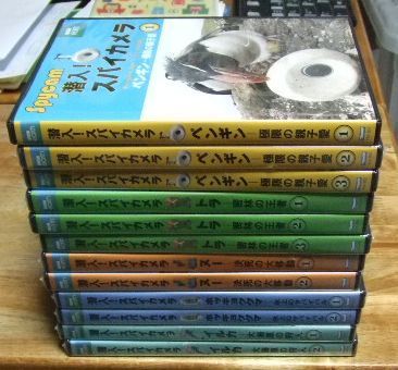 v1038【DVD】BBC 潜入！スパイカメラ 全12巻セット☆T - メルカリ