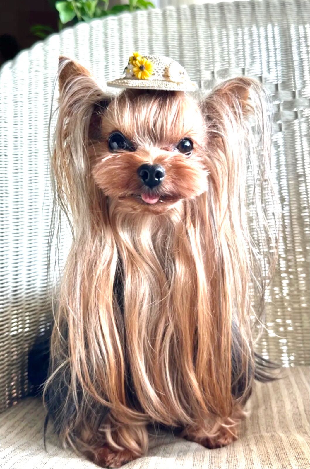 ちょこんと麦わら帽子　犬リボン　キッズ・子供リボン　バレッタ　猫　ペット　ヘアアクセサリー 髪飾り　普段着　うちの子記念日　誕生日　プレゼント　撮影