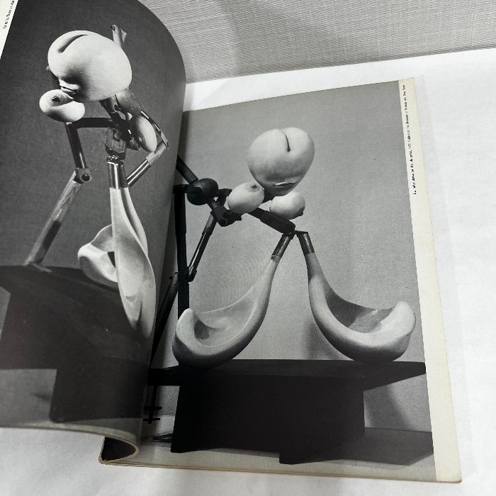 洋書 ハンス・ベルメール Hans Bellmer Cnacarchives 画集 作品集 稀少