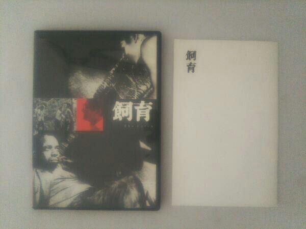 DVD 大島渚 DVD-BOX 1 - メルカリ