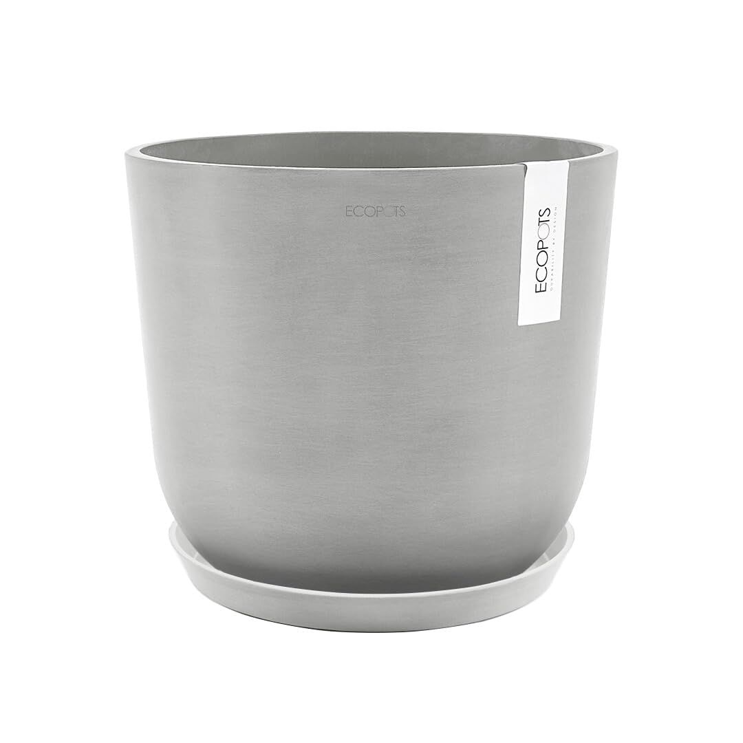 アンドプランツ PLANTS ホワイトグレー AND エコポッツ 鉢M 8号 Oslo ECOPOTS