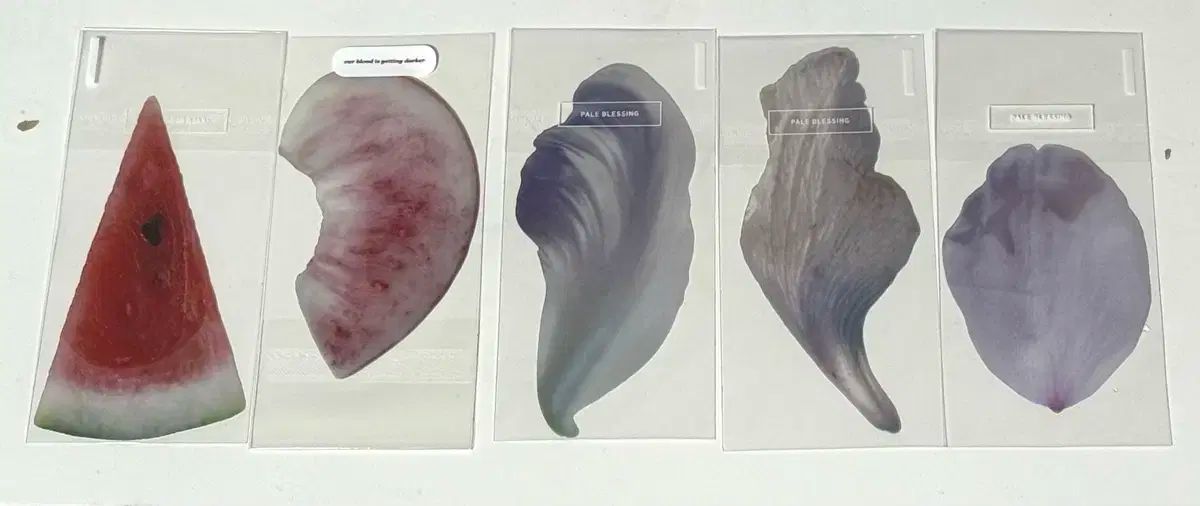 イオク トゥー しおり 5種 まとめ バッグも スイカ キャノン 展示 3種