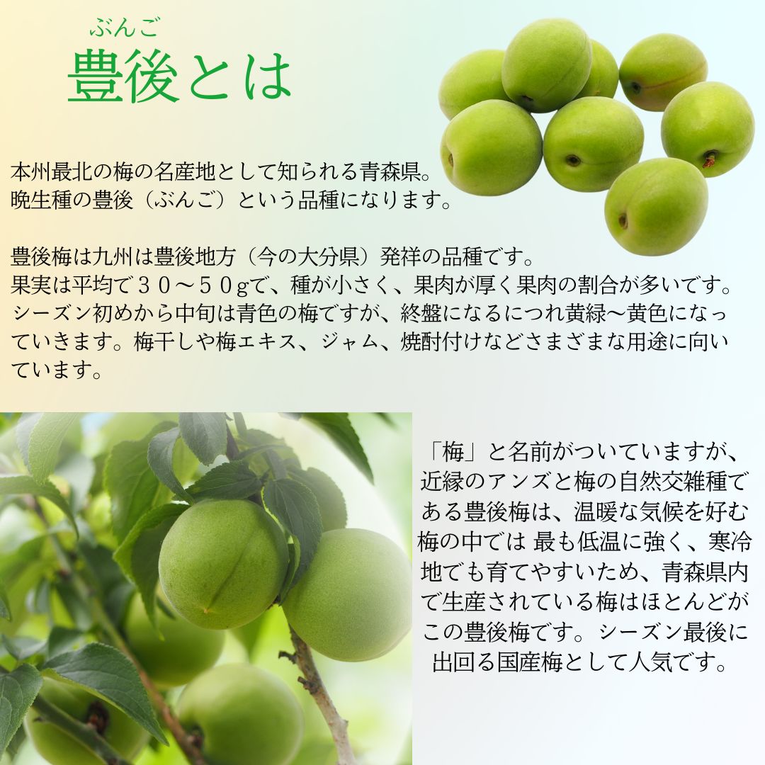 愛知県産 梅 15キロ 6月収穫後発送 クール便 クール便込み 青森県産 完熟 梅 豊後2kg 送料無料！ - メルカリ