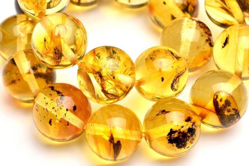 １点物 全粒内包 入荷 虫入りアンバー琥珀 9-9.5mm ブレスレット パワーストーン 天然石 _MA8448 TALLINNNEXPO_COM