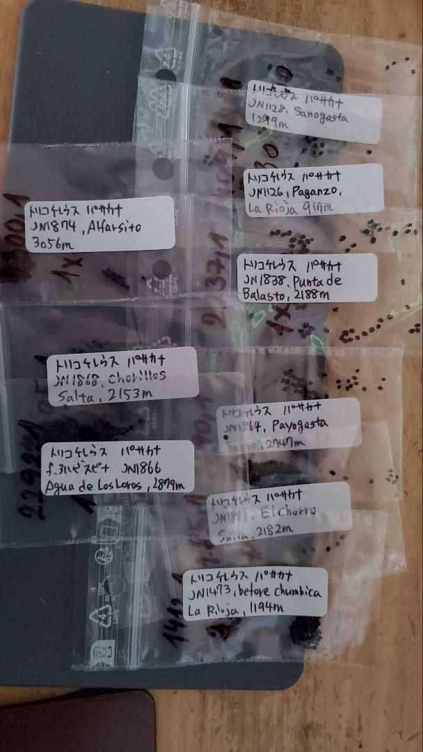 トリコケレウス　種子45種類　10粒ずつセット トリコケレウス 種子45種類 10粒ずつセット - メルカリ