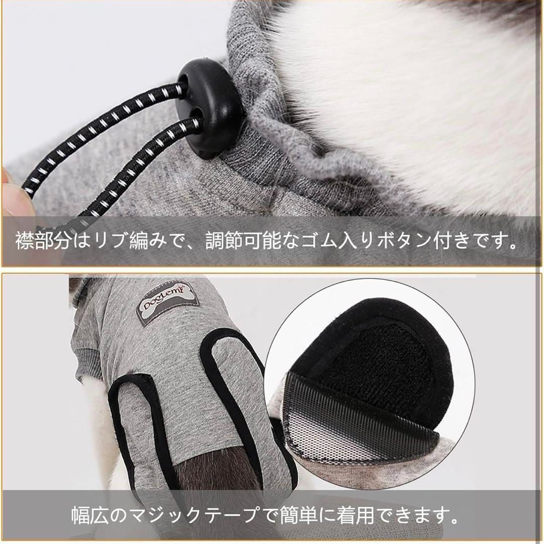 猫 術後服