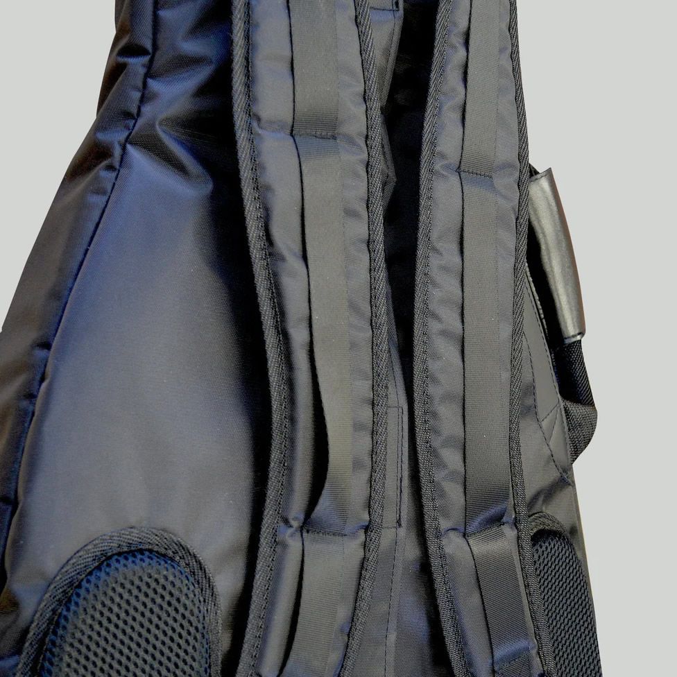 CASES Series