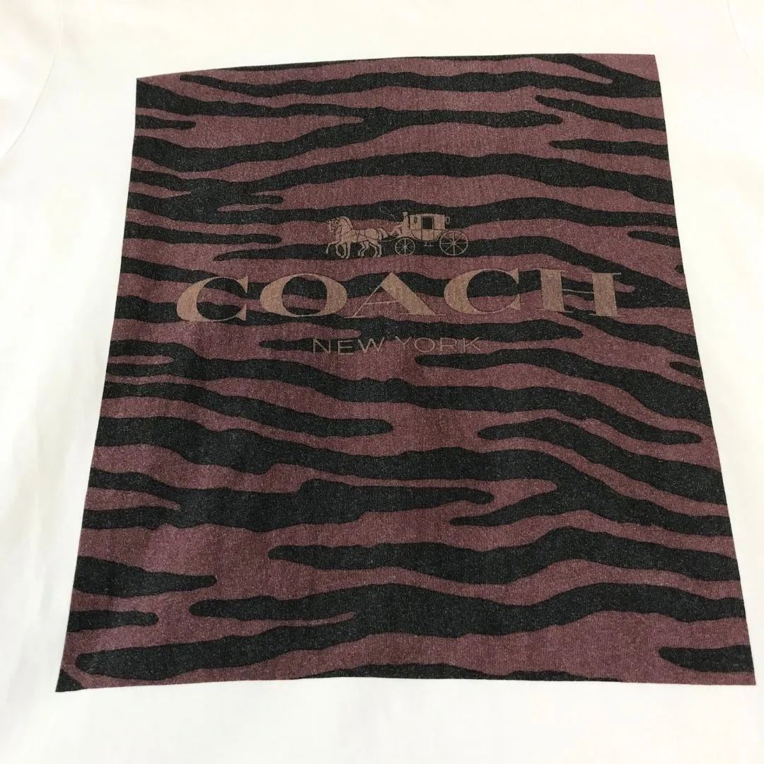 COACH　コーチ　Ｔシャツ　カットソー　半袖　XSサイズ　トラ模様