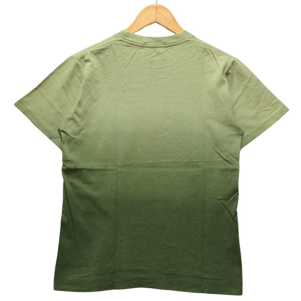 ape Alife グラデーション Tシャツ S A BATHING APE - 【オールド】エイプ/APE Tシャツ
