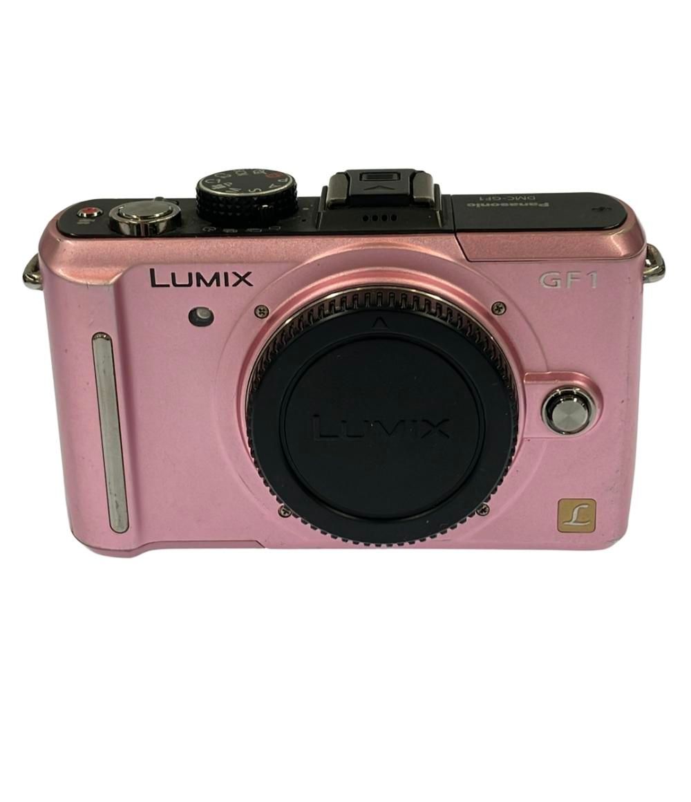 パナソニック ミラーレス一眼カメラ LUMIX DMC-GF1 ボディ Panasonic