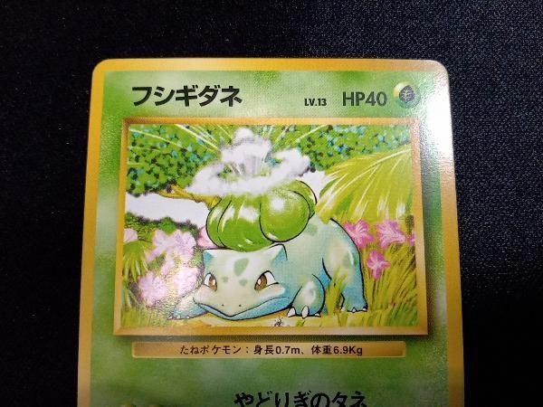 PSA10 フシギダネ 旧裏面 ポケモンカード フシギダネ No.001 旧裏面 ポケモンカードゲーム ポケカ 初期