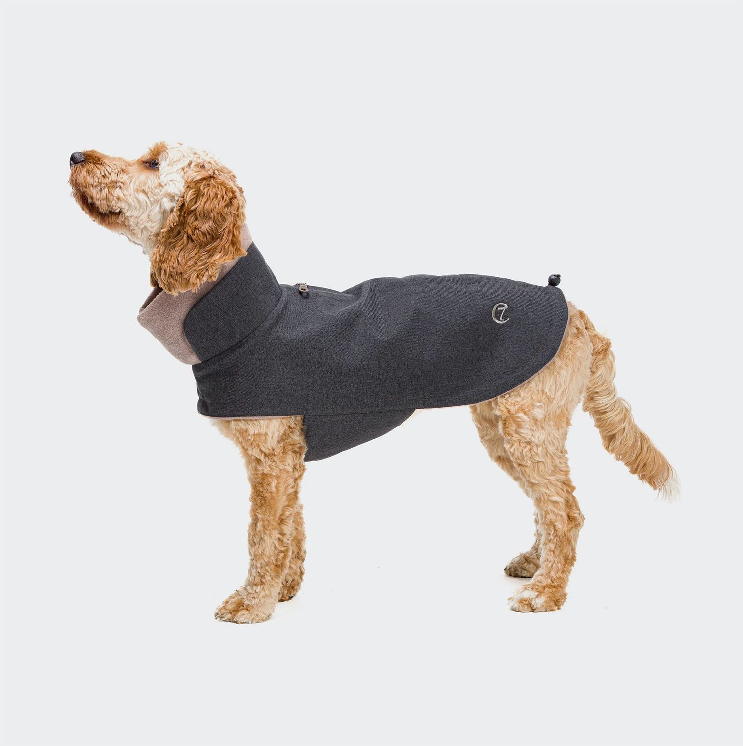 ♥｜Cloud7｜Dog Coat Brooklyn Graphite サイズ ３ 体重4〜6kgにおすすめ ｜リード レザー 犬 小型犬 海外直輸入 ペットグッズ イタグレ