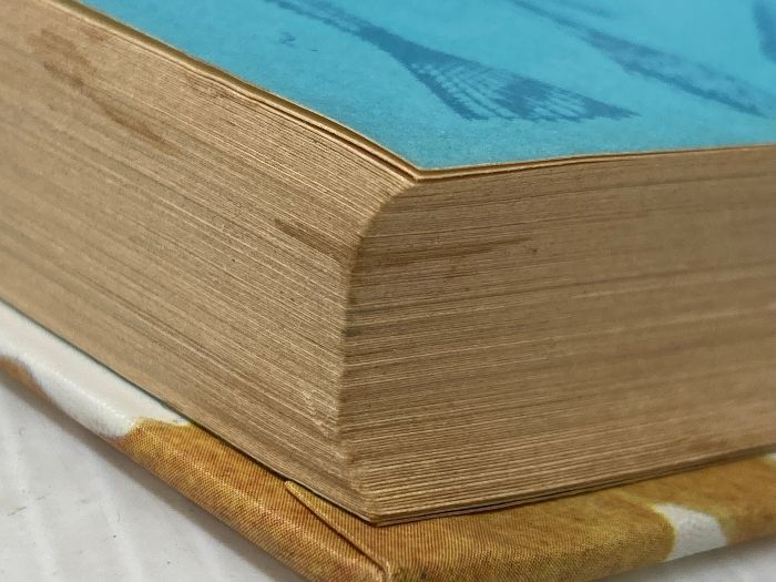 長鼻くんといううなぎの話 (世界の児童文学名作シリーズ) 講談社 K