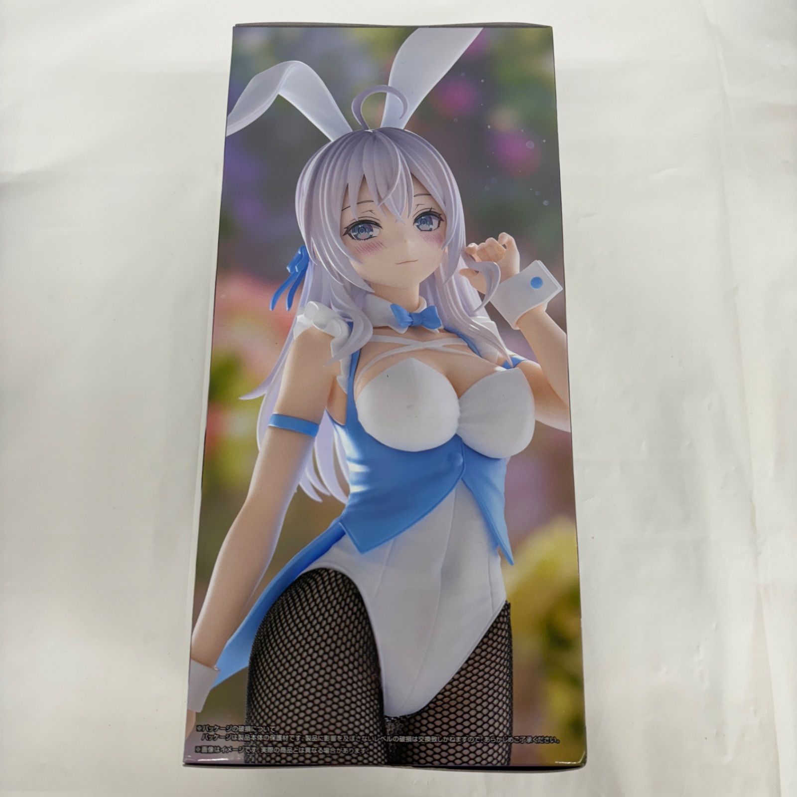 未開封 時々ボソッとロシア語でデレる隣のアーリャさん BiCute