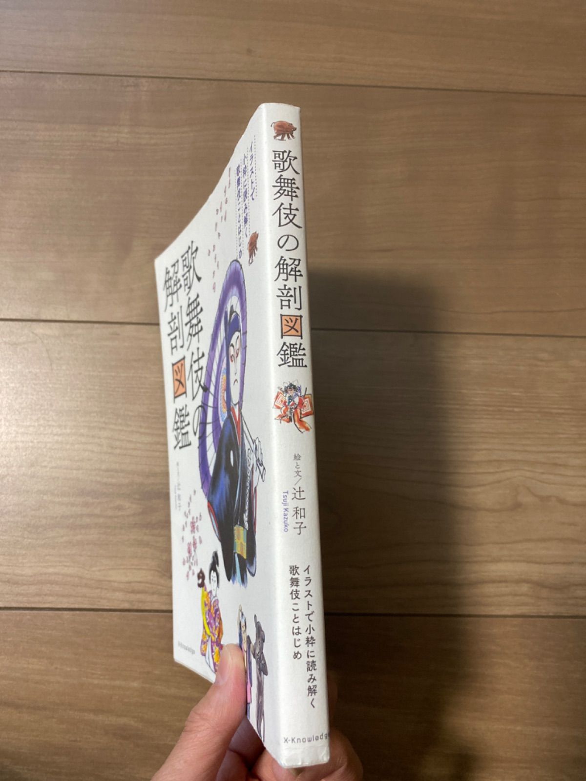 歌舞伎の解剖図鑑 : イラストで小粋に読み解く歌舞伎ことはじめ