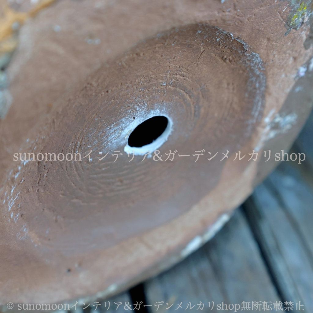 酸化マグネシウム 鉢植え