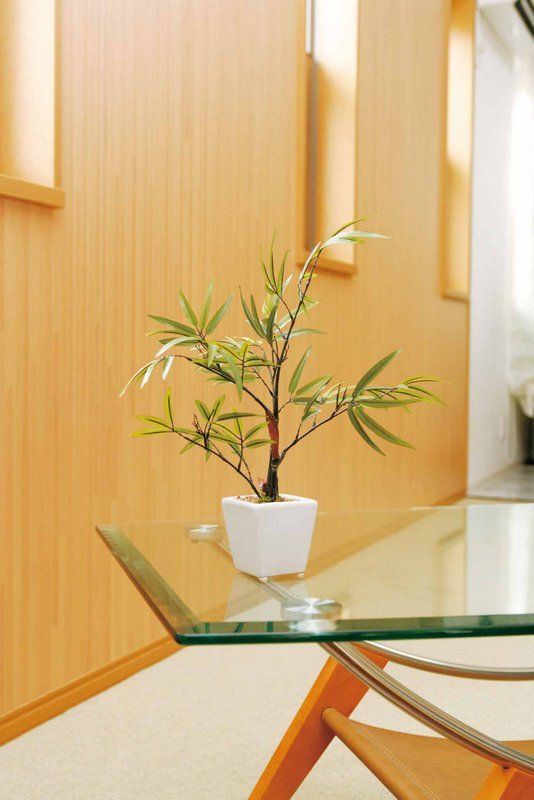 送料無料，限定SALE 光触媒観葉植物 黒竹〔テーブルタイプ〕/光触媒 観葉植物 ウンベラータ フェイクグリーン 花 胡蝶蘭 開店祝い 開業祝い 誕生祝い 造花 アートフレーム おしゃれ 飾る Lサイズ