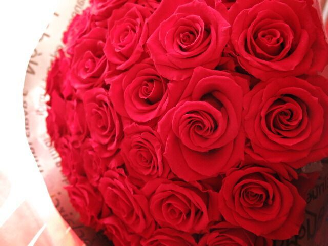 枯れずにいつまでもキレイな赤バラ ◆誕生日プレゼント