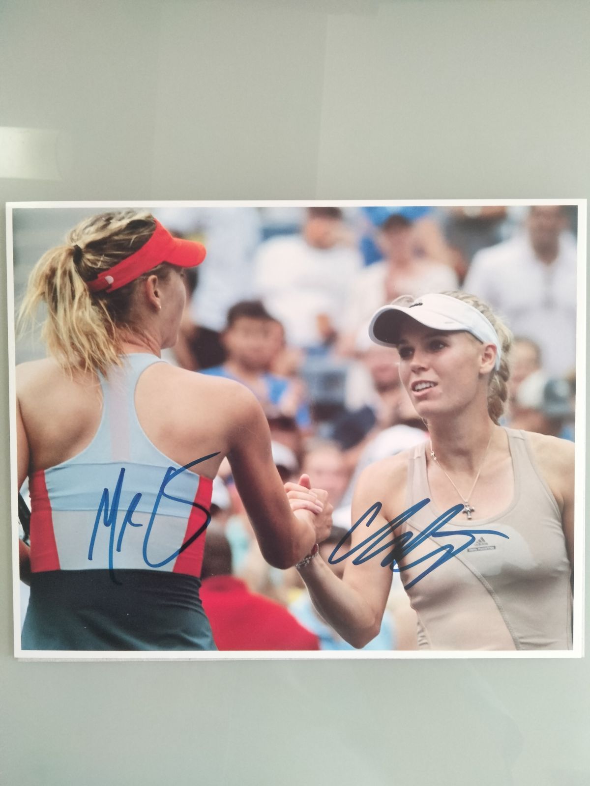 マリア・シャラポワ 直筆サイン 写真 Maria Sharapova テニス