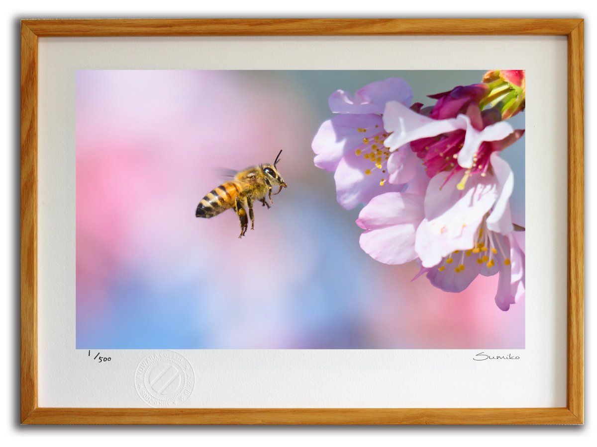 ヒロ・ヤマガタ シルクスクリーン 水前寺公園 Amazon.co.jp: ヒロ