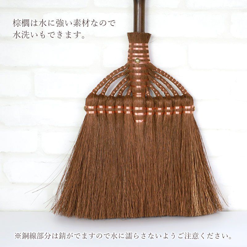 室内 シュロ