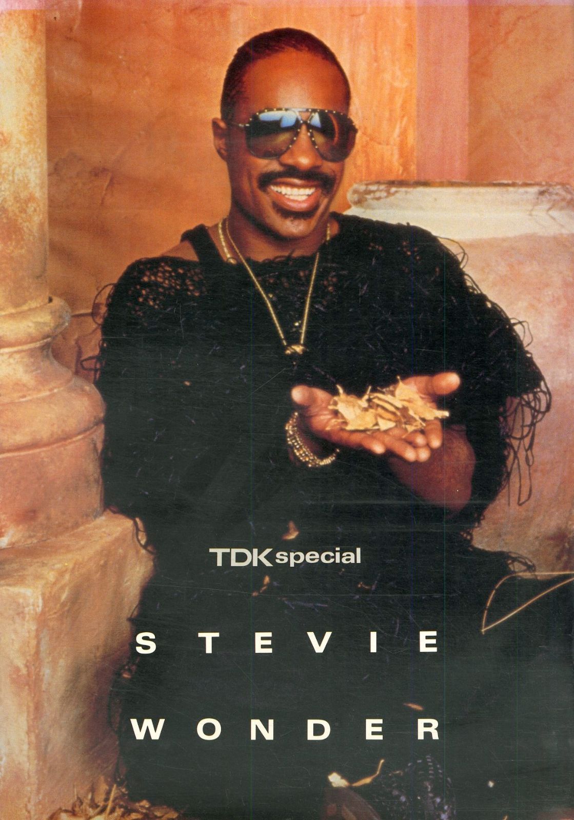 ☆コンサートパンフ / スティーヴィー・ワンダー(STEVIE WONDER