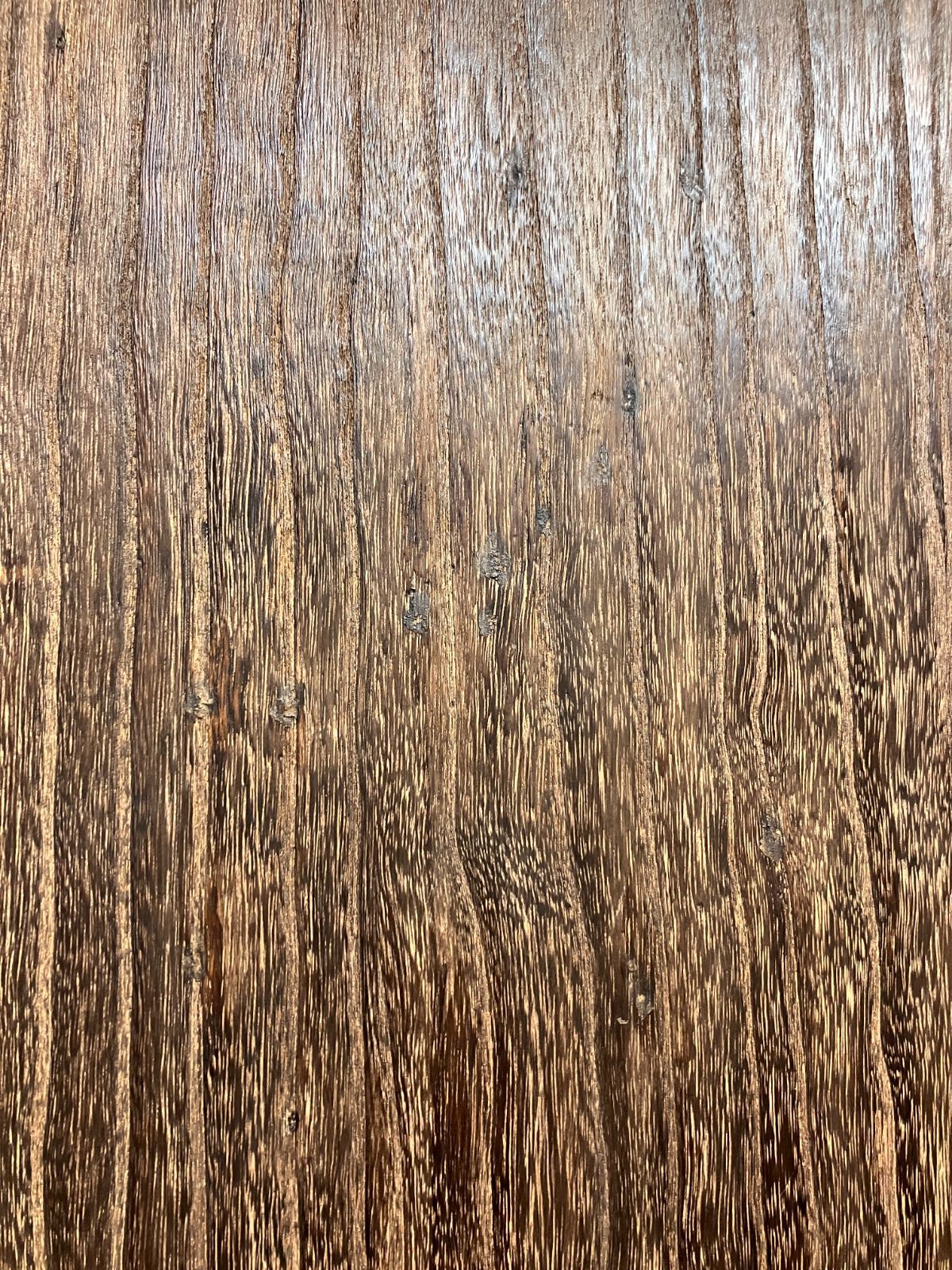 十七絃 紫檀巻