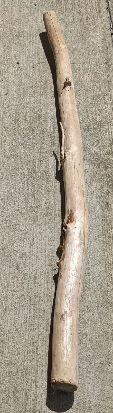 AX18【超大型流木】ロックガーデン向き/爬虫類等レイアウト用品（洗浄済） 最終価格!!AX18【超大型流木】ロックガーデン向き/爬虫類等