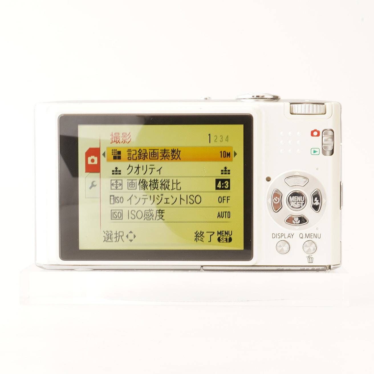 シェル ホワイト