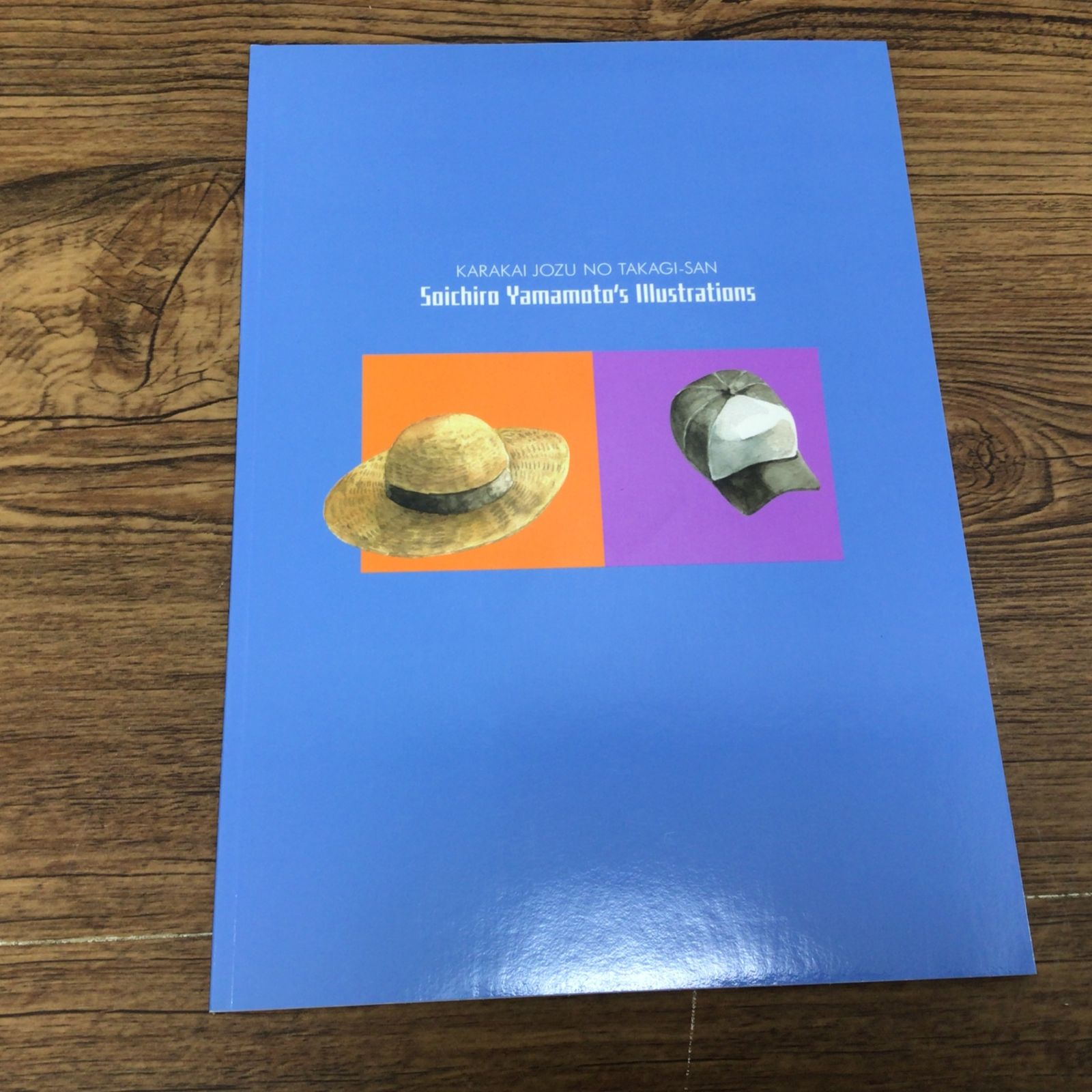 8254 【3冊セット 初版】からかい上手の高木さん TVアニメ公式ガイド