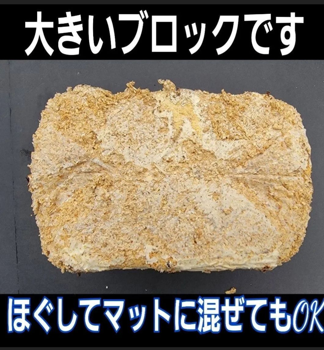 カブトムシ幼虫の栄養強化に！キクラゲ菌床ブロック【2個】マットに埋め込むだけ - メルカリ