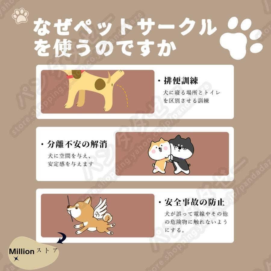 犬