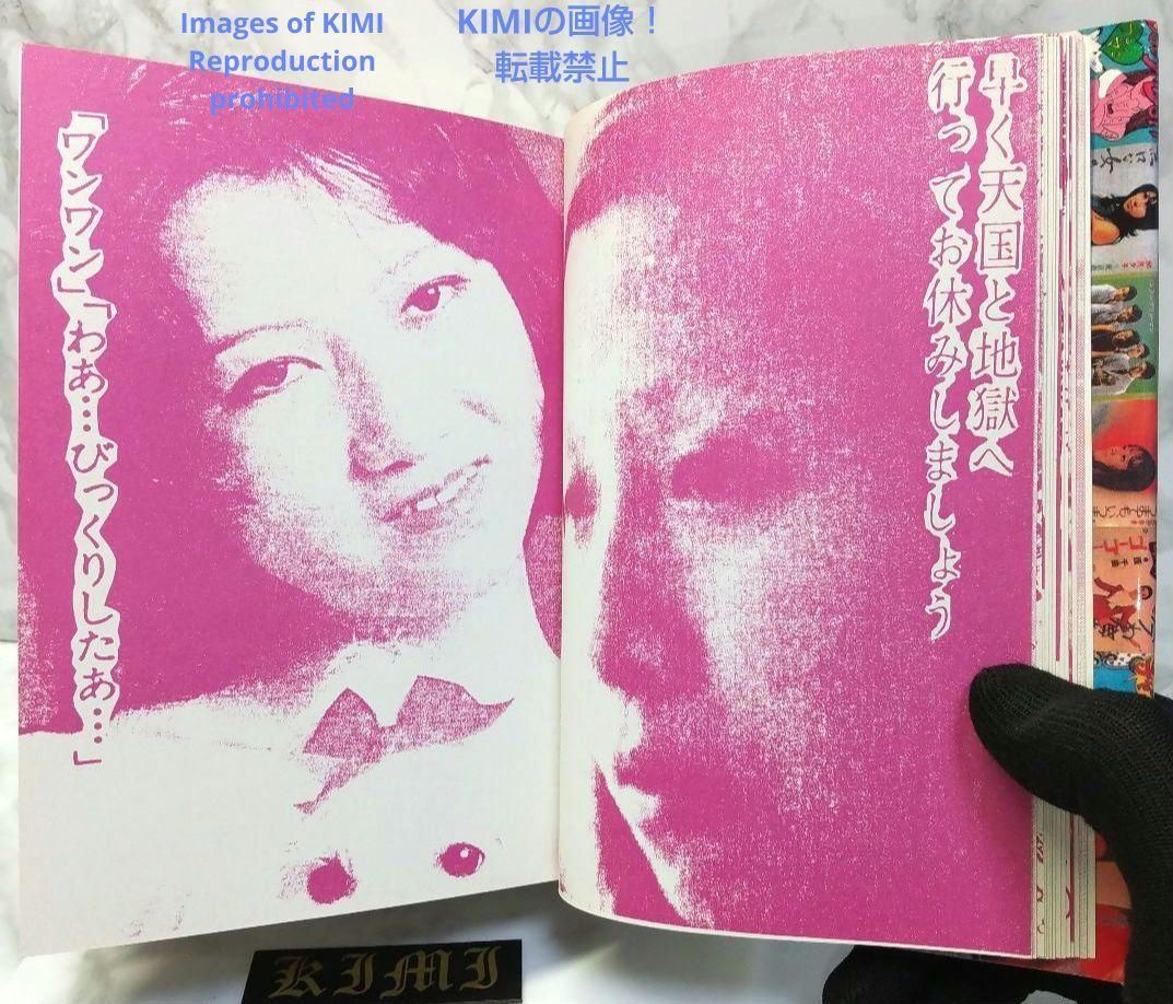 初版 幻の名盤百科全書 単行本 2001 湯浅学 根本敬 船橋英雄 幻