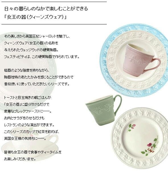 新品 ウェッジウッド フェスティビティ プレート 21cm 2枚セット お皿