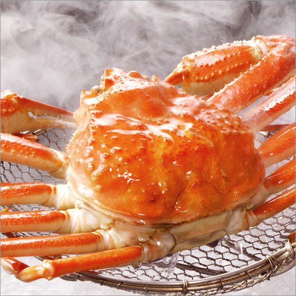 食品 カニ ズワイガニ 3尾 (姿/約950g以上×3尾/ボイル冷凍) 特大 かに 