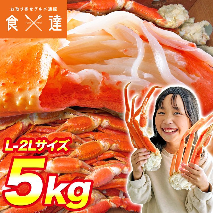 専用出品　エビカニ様　5kg2箱　10日着 訳あり L～2Lボイルずわい蟹 5kg 送料無料 - メルカリ