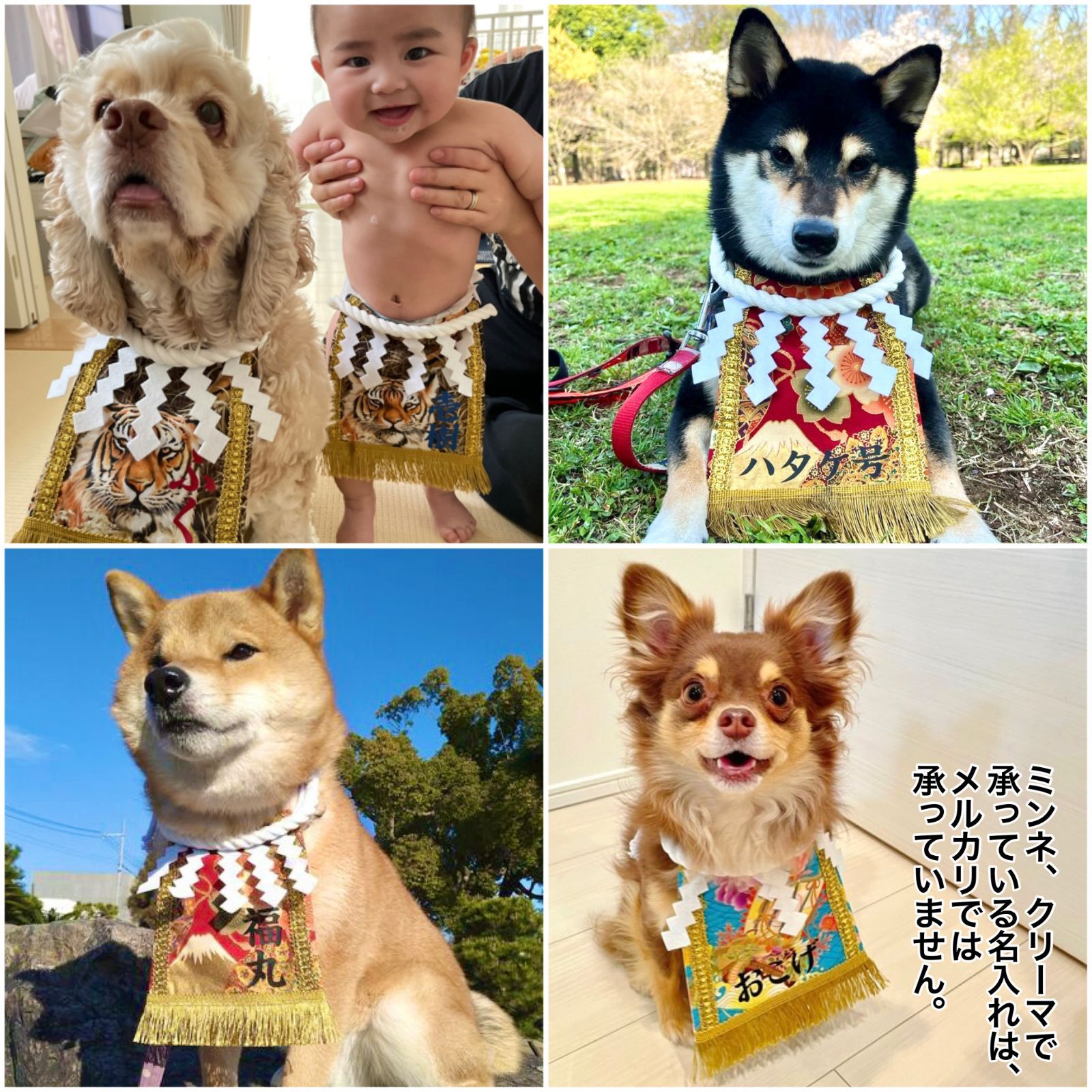 ワンちゃん化粧まわし【こだわり・中】《笑顔満開の桜柴犬》柴犬の飼い主さんへのプレゼントに！