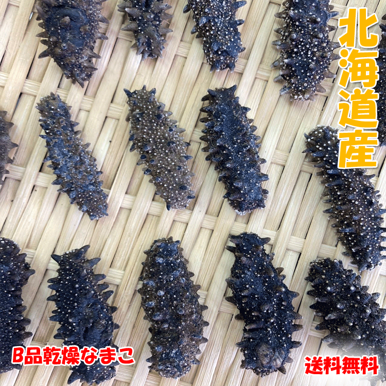 北海道産乾燥海参 訳あり品 500g（ 85個前後） 金ん子 北海キンコ 海参