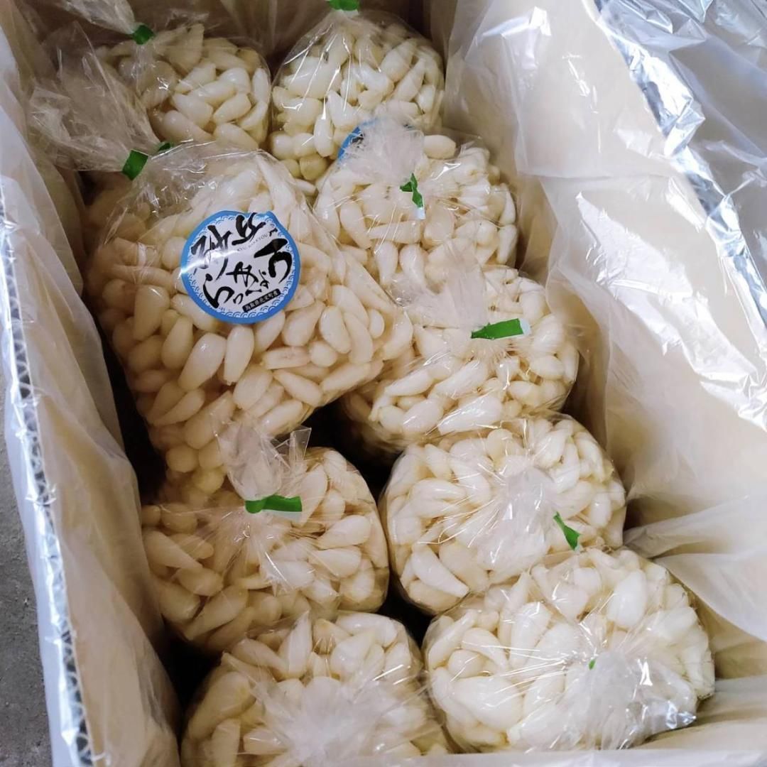 農薬 栽培期間中不使用 砂丘らっきょう 5kg 洗いらっきょう 鳥取 らっきょ ラッキョウ らっきょ