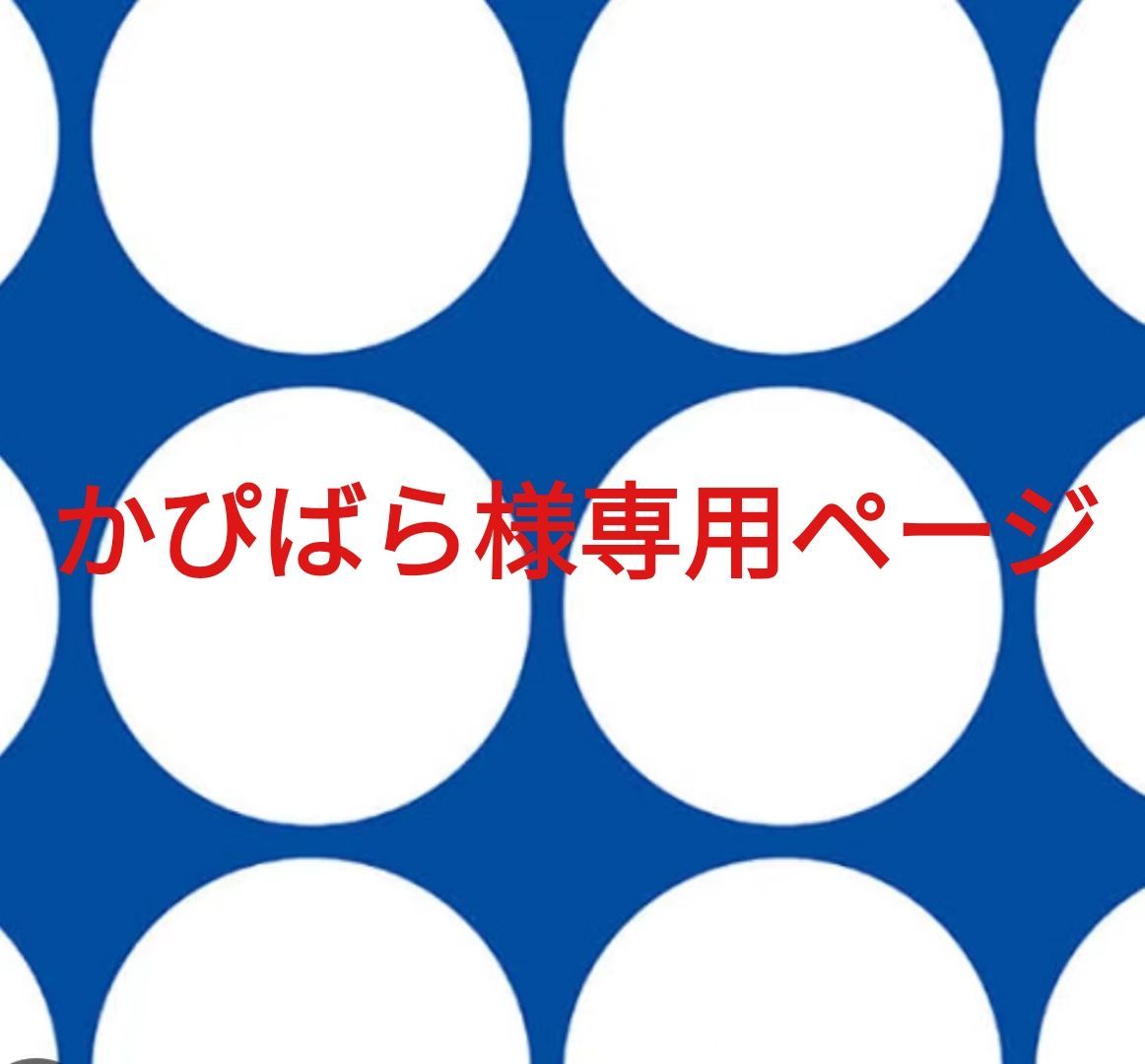 かぴばら様専用ページです。