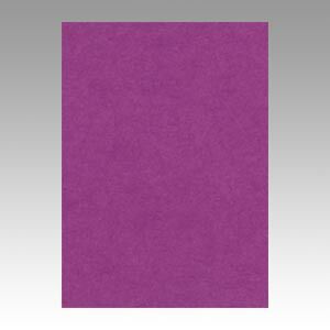 （まとめ） 色画用紙 文運堂 ニューカラーＲ 紫 4NCR-241 4954022642419 1冊【×5セット】 13,300円
