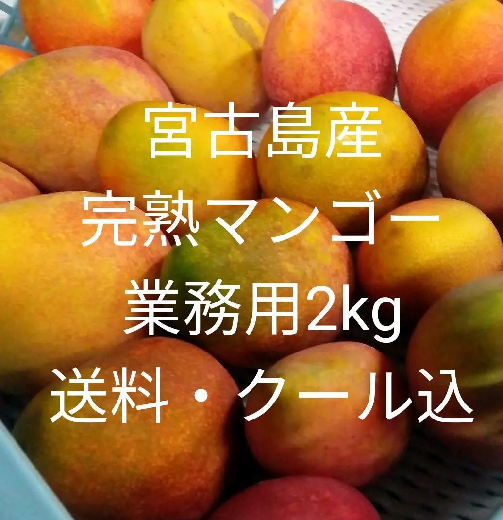 沖縄宮古島産完熟マンゴー2kg  業務用（訳あり）