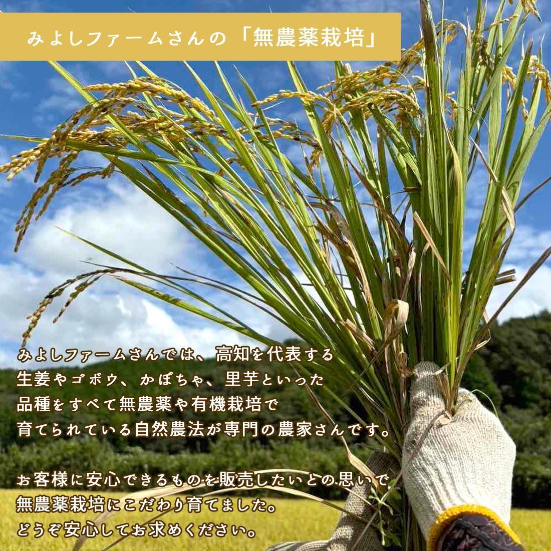 10kg】窪川産直 四万十町 まぼろしの米 ふさなり 農薬：栽培期間中不