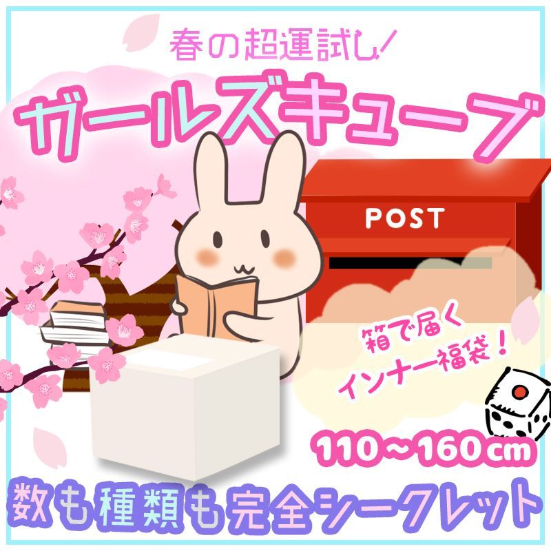 【110～160cm】12点入り！女の子向けの福箱 「 ガールズキューブ 」
