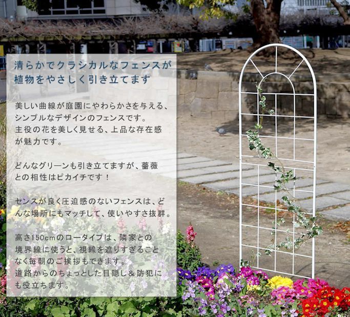 ロータイプ 間仕切り