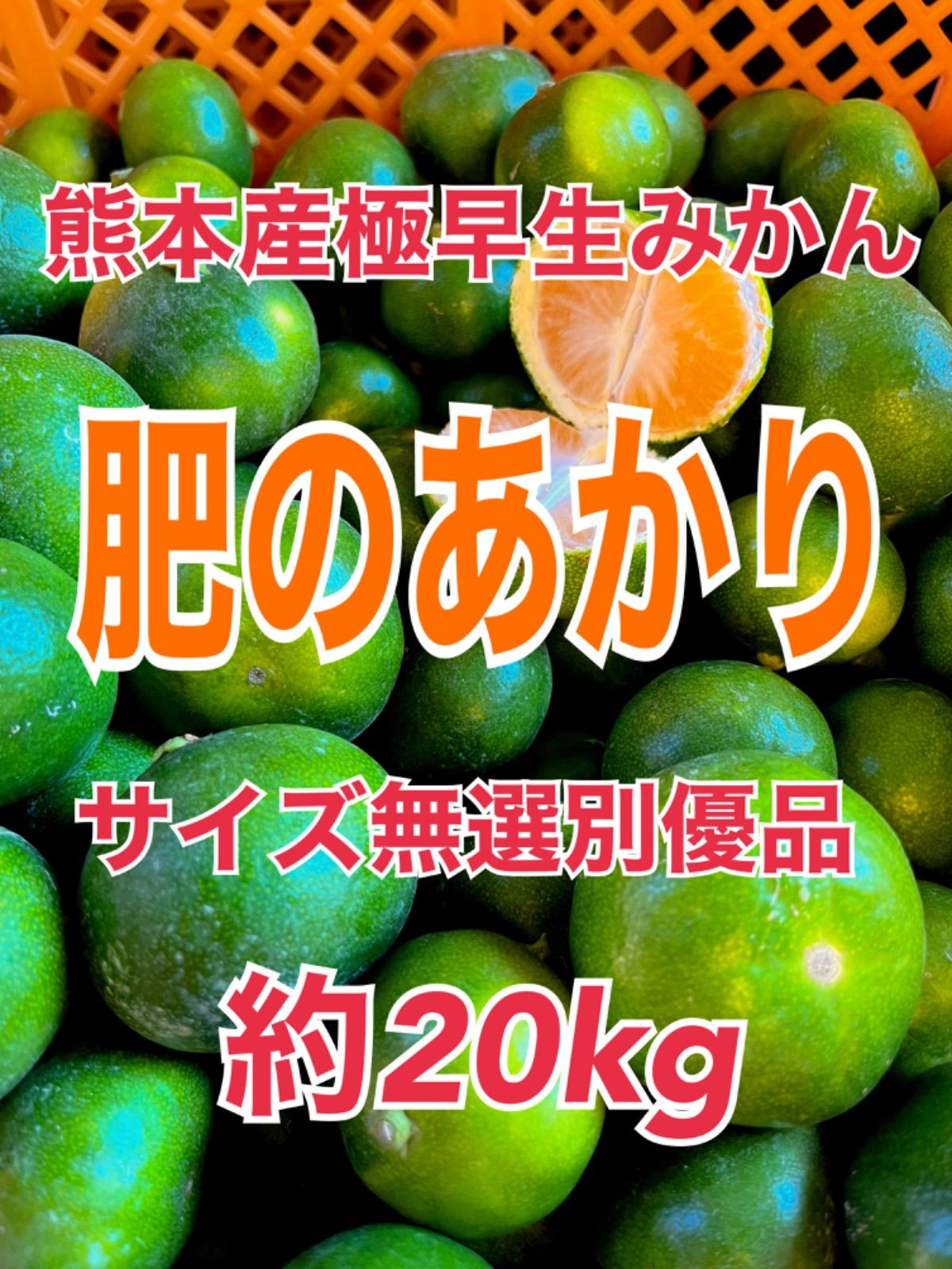 熊本産極早生みかん日南小玉サイズ20kg