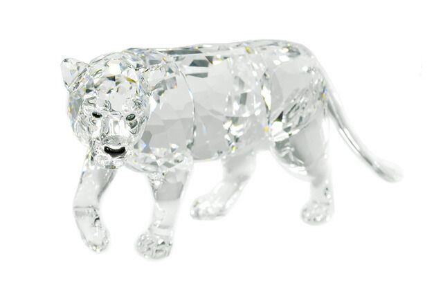 高品質！ゴールドテグー 頭骨 高品質！ ゴールドテグー 頭骨