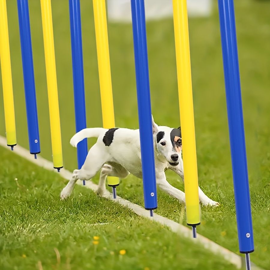 1セットの犬アギリティトレーニング用具-感覚的な犬の運動と遊びに適したPVCジャンピングスティック