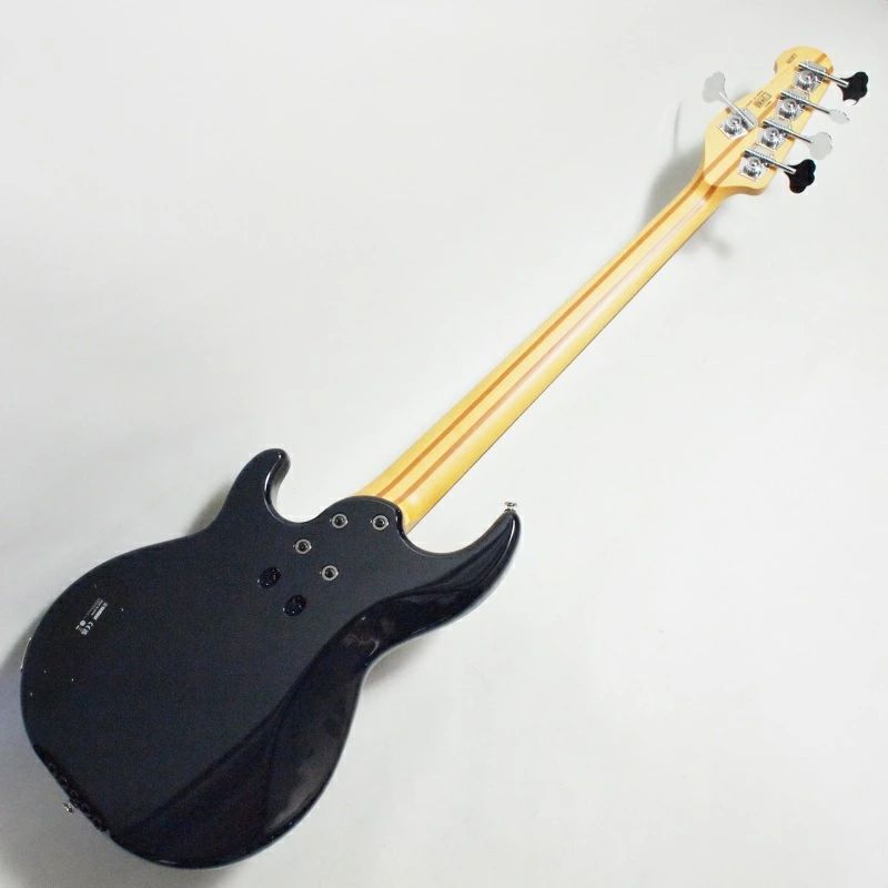 5弦エレキベース 4.39kg