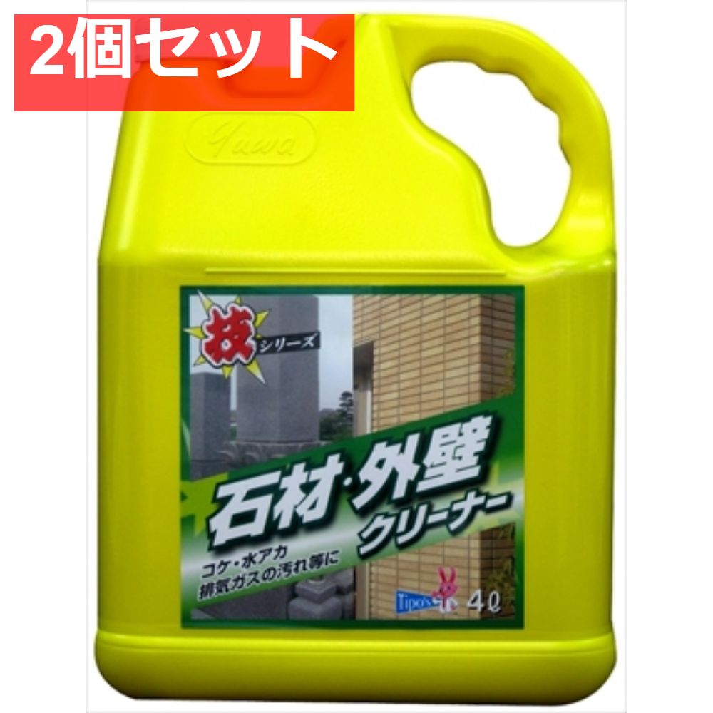 技シリーズ 石材外壁クリーナー 4L 2個セット